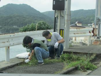草払い 草払い