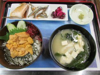 ウニ丼 ウニ丼