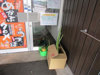 野菜 野菜