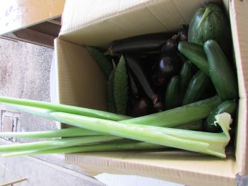野菜 野菜