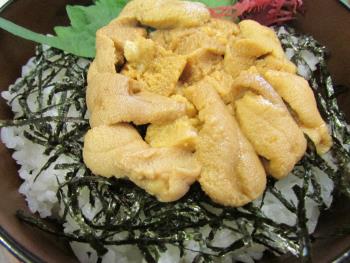 うに丼 うに丼