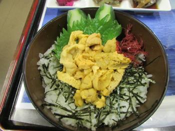 ウニ丼 ウニ丼