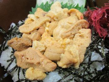 ウニ丼 ウニ丼
