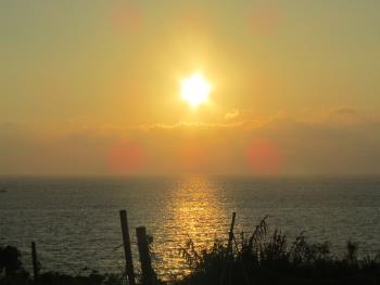 夕日 夕日