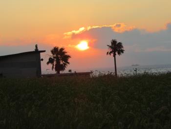 夕日 夕日