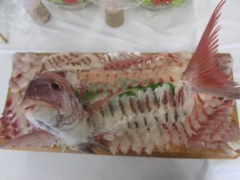 刺身食べ放題 刺身食べ放題