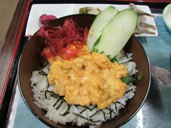 ウニ丼