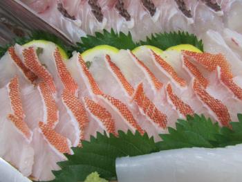 紅アコー 紅アコー