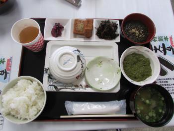 刺身食べ放題 刺身食べ放題