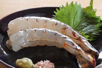 車エビ 刺身 車エビ 刺身