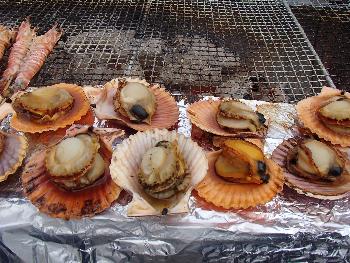 食の祭典-焼き物 食の祭典-焼き物