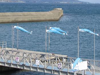 今日の天気 今日の天気