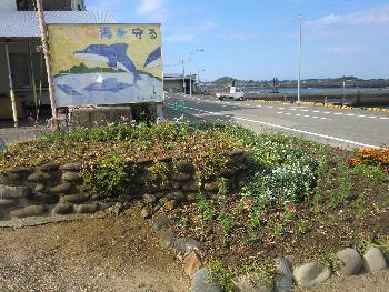 花壇 花壇