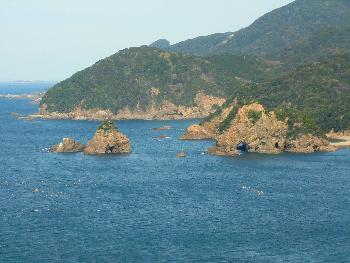 海 海