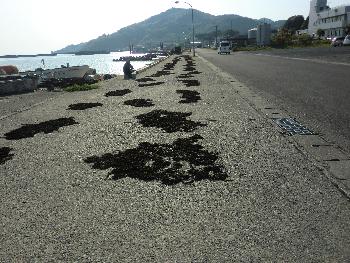 ヒジキ干し ヒジキ干し