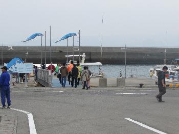 イルカウォッチング イルカウォッチング