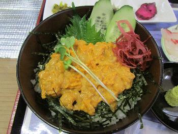 ウニ丼 ウニ丼
