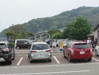 イルカウォッチング イルカウォッチング