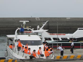 イルカウォッチング イルカウォッチング