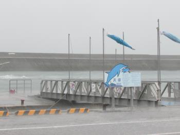 雨 雨