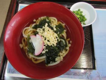 わかめうどん