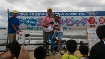 豪華電動式自転車 豪華電動式自転車