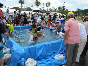 タコのつかみ取り大会 タコのつかみ取り大会