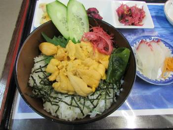 ウニ丼 ウニ丼