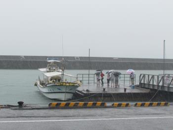 雨 雨