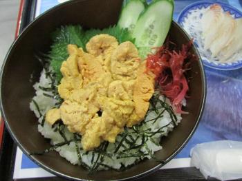 ウニ丼 ウニ丼