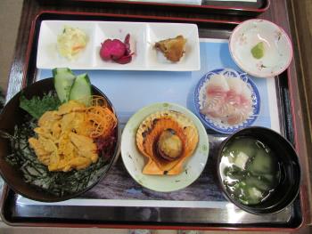 ウニ丼 ウニ丼