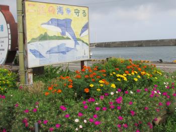 花壇 花壇
