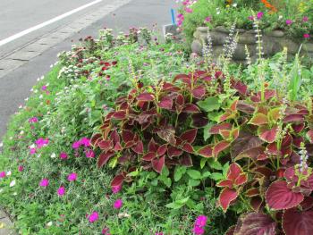 花壇 花壇