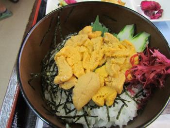 ウニ丼 ウニ丼