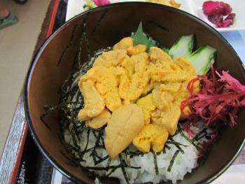 ウニ丼