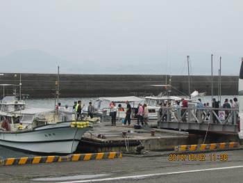 イルカウォッチング イルカウォッチング