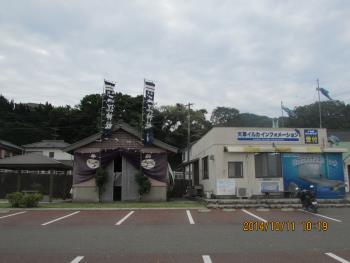 イルカ イルカ