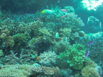 水族館