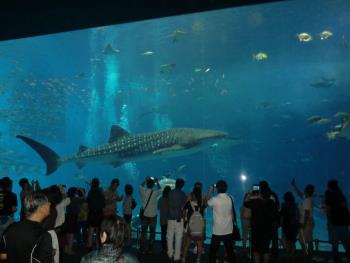 水族館