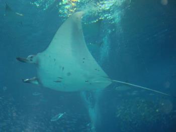 水族館