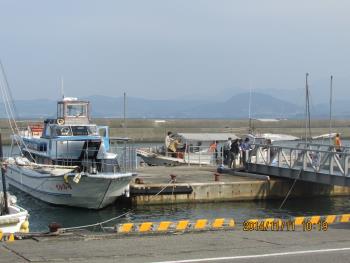 イルカウォッチング イルカウォッチング