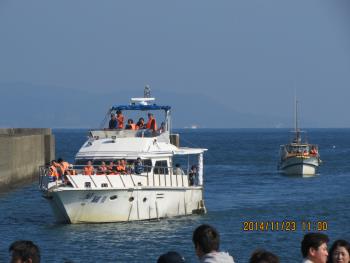 イルカウォッチング イルカウォッチング