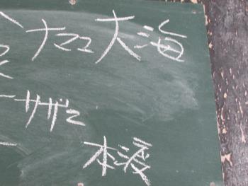 ナマコ ナマコ