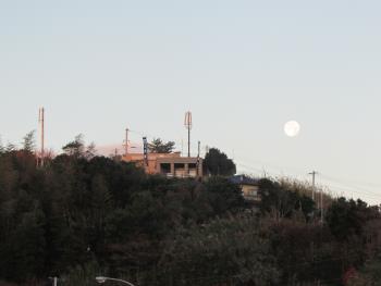 弁天様 弁天様