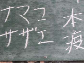 ナマコ ナマコ