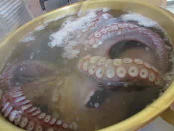 タコ タコ
