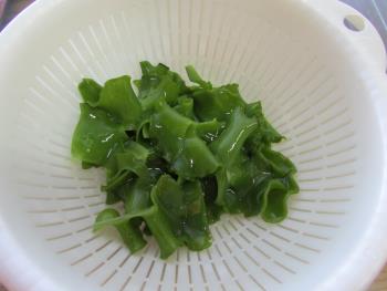 めかぶ めかぶ