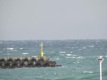 海 海
