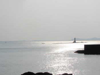 海 海
