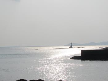 海 海